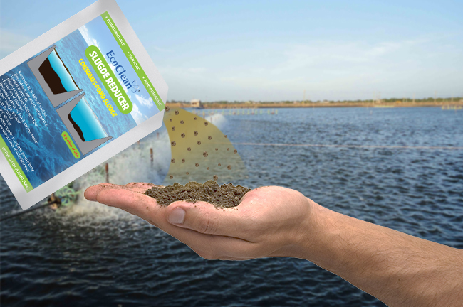 chế phẩm vi sinh xử lý bùn đáy ao nuôi tôm ecoclean sludge reducer