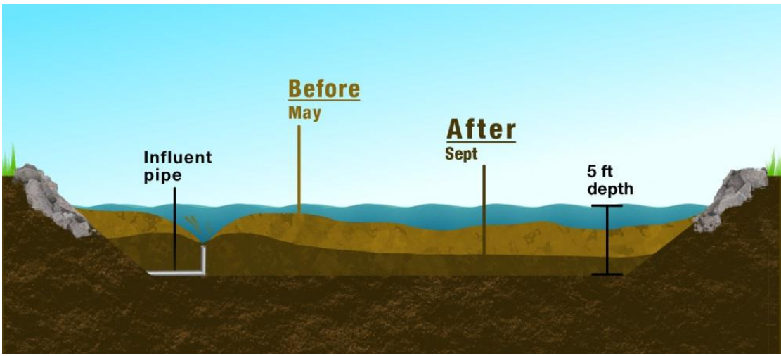kết quả trước và sau khi xử lý bằng vi sinh xử lý bùn đáy ao nuôi tôm ecoclean sludge reducer
