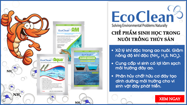 chế phẩm vi sinh ecoclean trong nuôi trồng thủy sản