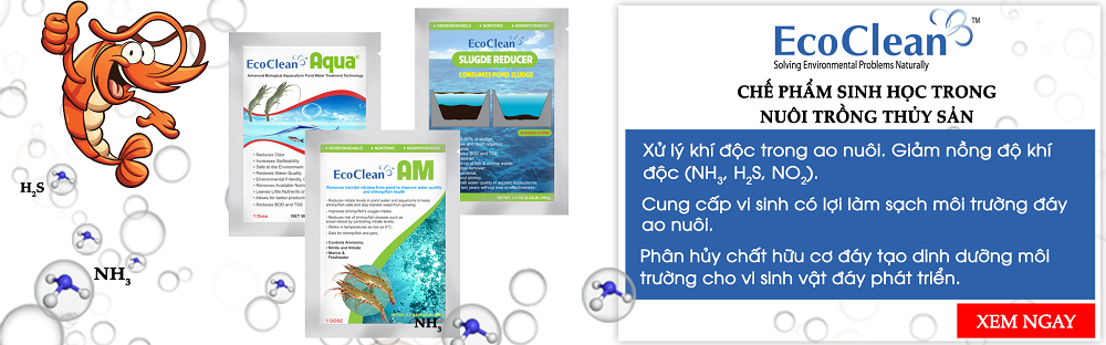 chế phẩm sinh học trong nuôi trồng thủy sản ecoclean