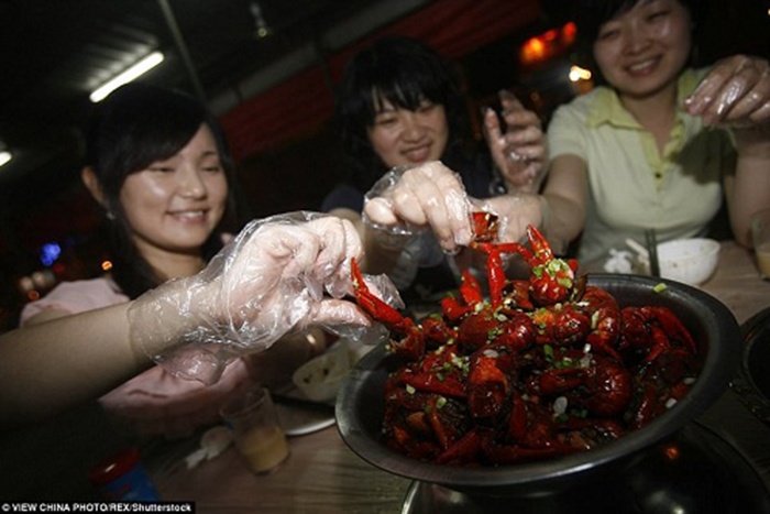 Qua Trung Quốc ăn 2,5kg tôm hùm mỗi ngày để kiếm 5.000USD mỗi tháng 1